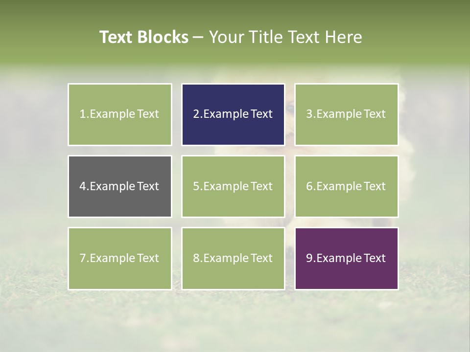 Nose Listening Showing PowerPoint Template