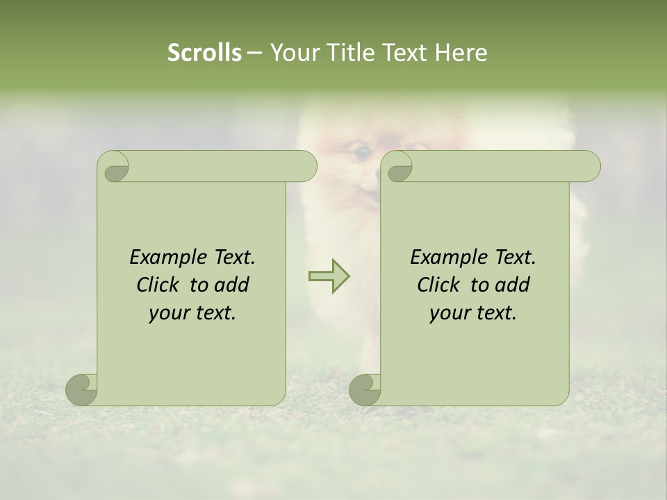 Nose Listening Showing PowerPoint Template