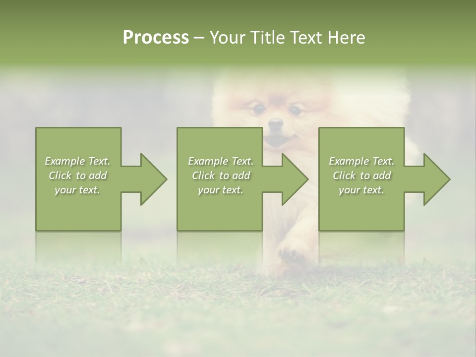 Nose Listening Showing PowerPoint Template