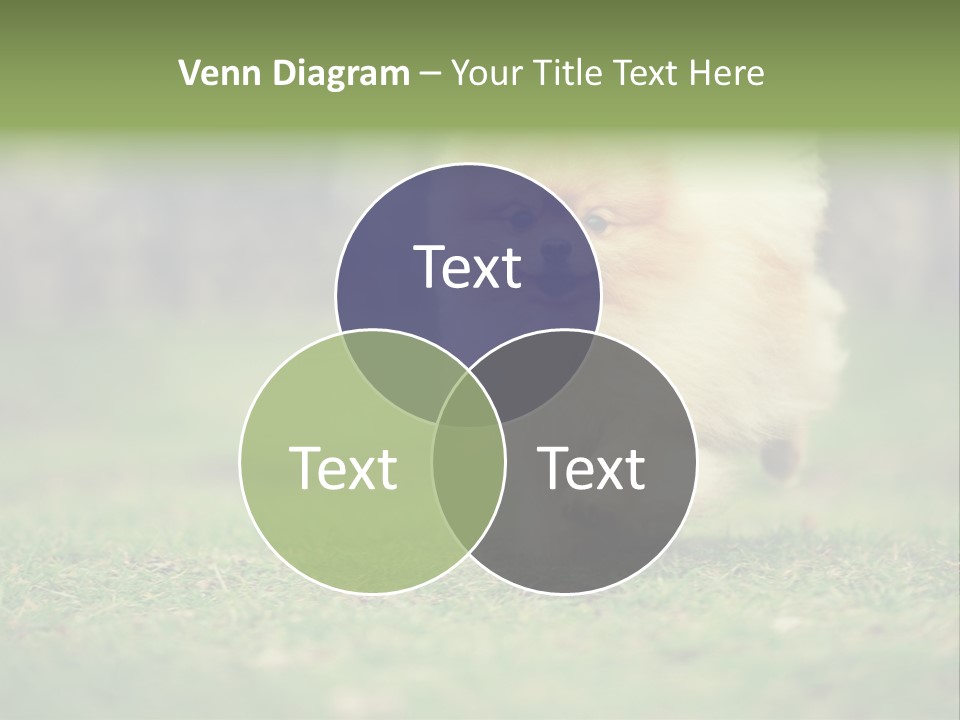 Nose Listening Showing PowerPoint Template