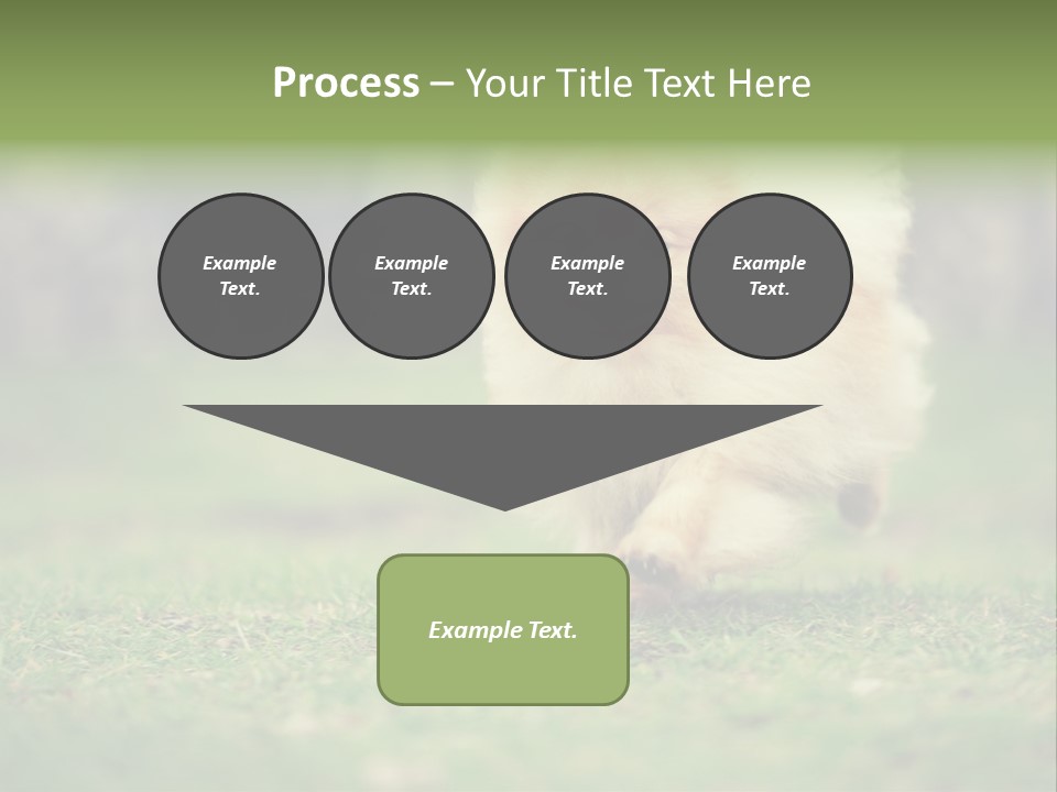 Nose Listening Showing PowerPoint Template