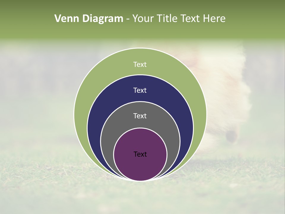 Nose Listening Showing PowerPoint Template