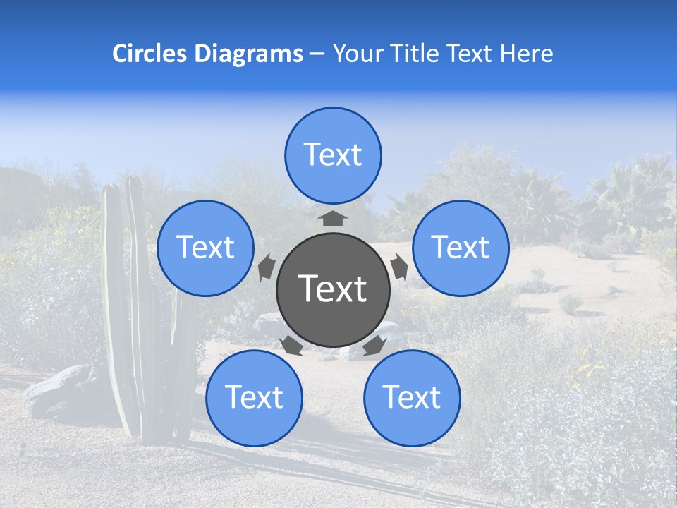 Scenic Oasis Colorful PowerPoint Template