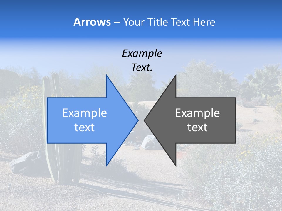 Scenic Oasis Colorful PowerPoint Template