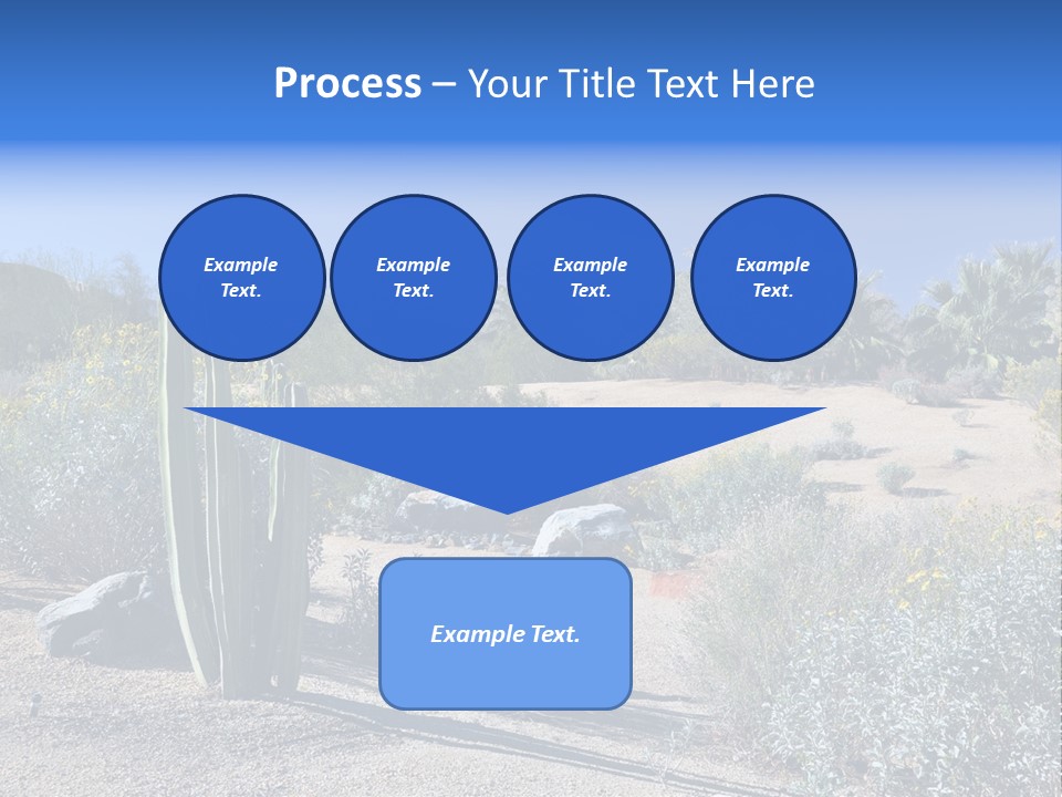 Scenic Oasis Colorful PowerPoint Template