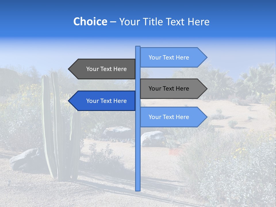 Scenic Oasis Colorful PowerPoint Template