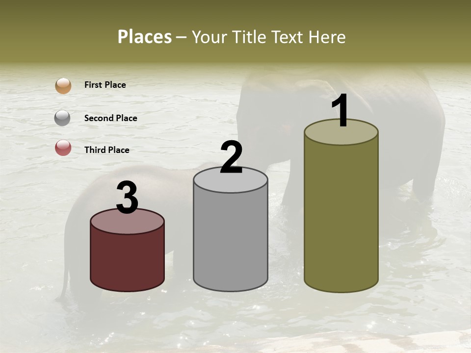 Animal Giant Impressive PowerPoint Template