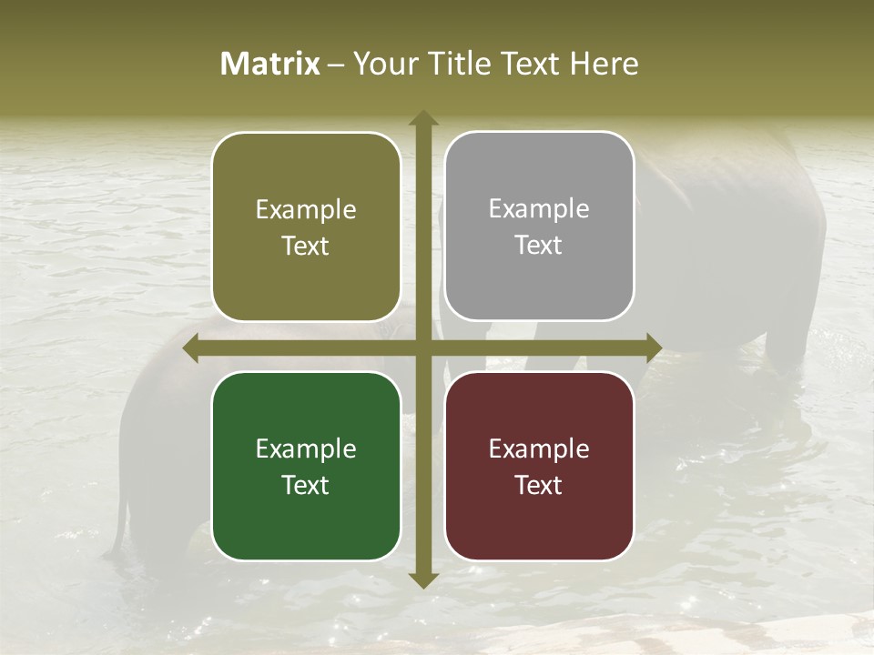 Animal Giant Impressive PowerPoint Template