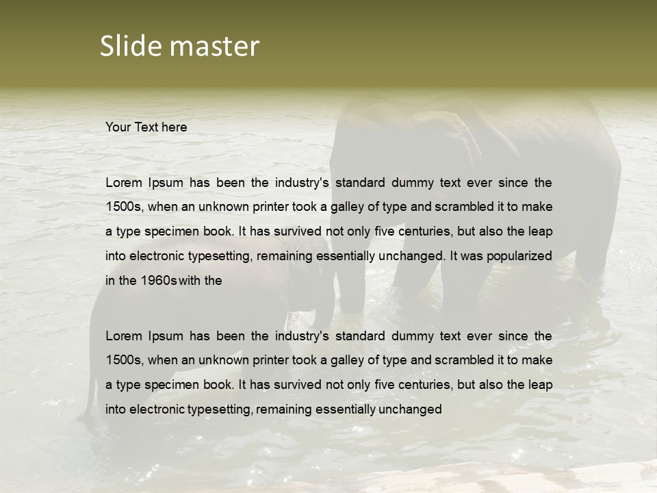 Animal Giant Impressive PowerPoint Template