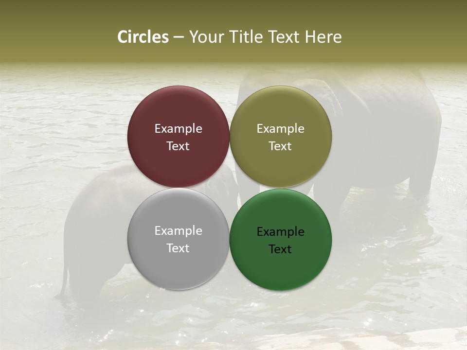 Animal Giant Impressive PowerPoint Template