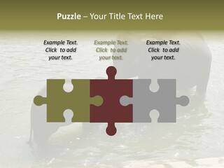 Animal Giant Impressive PowerPoint Template