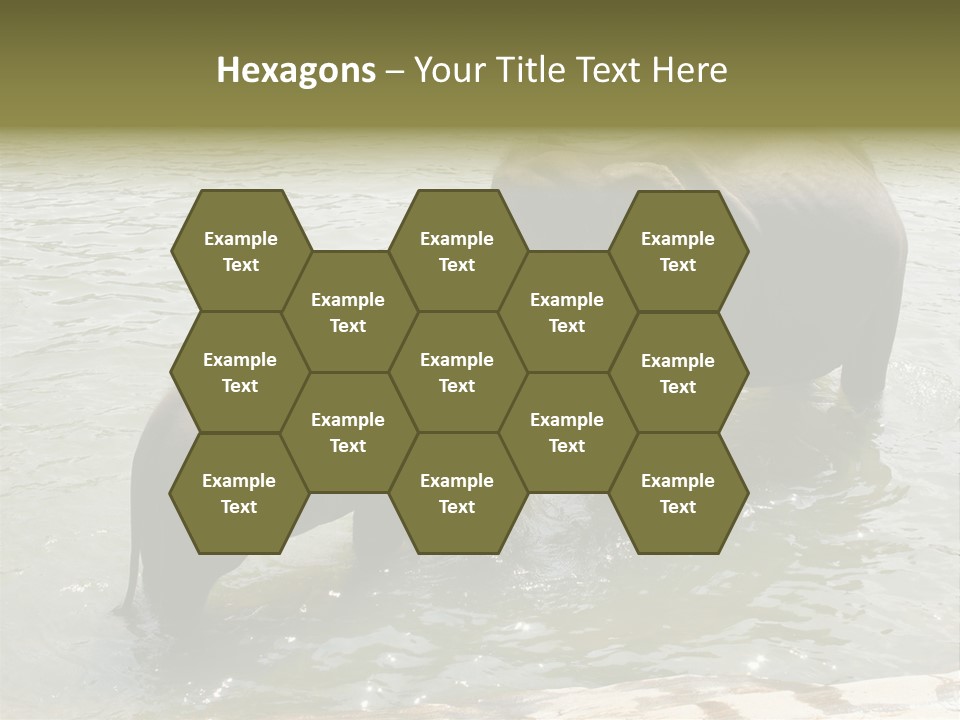 Animal Giant Impressive PowerPoint Template