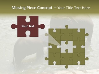 Animal Giant Impressive PowerPoint Template