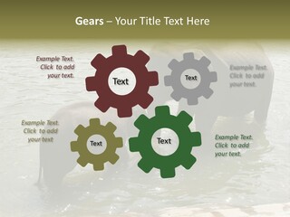 Animal Giant Impressive PowerPoint Template
