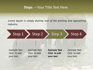 Animal Giant Impressive PowerPoint Template