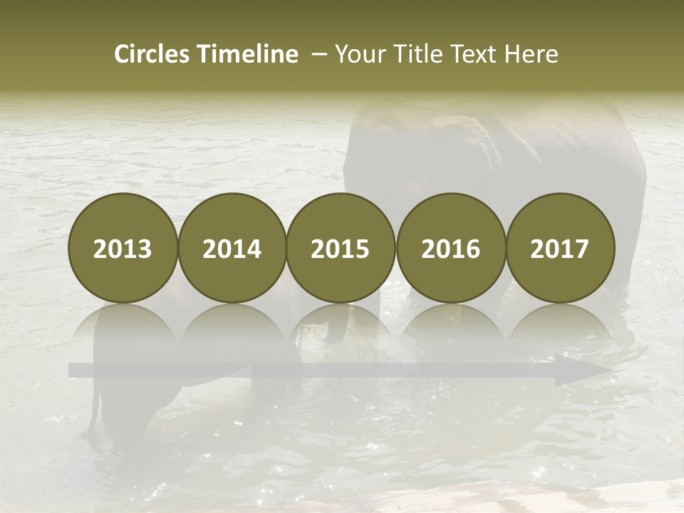 Animal Giant Impressive PowerPoint Template