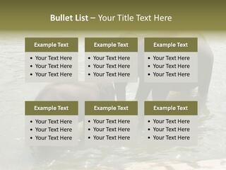 Animal Giant Impressive PowerPoint Template