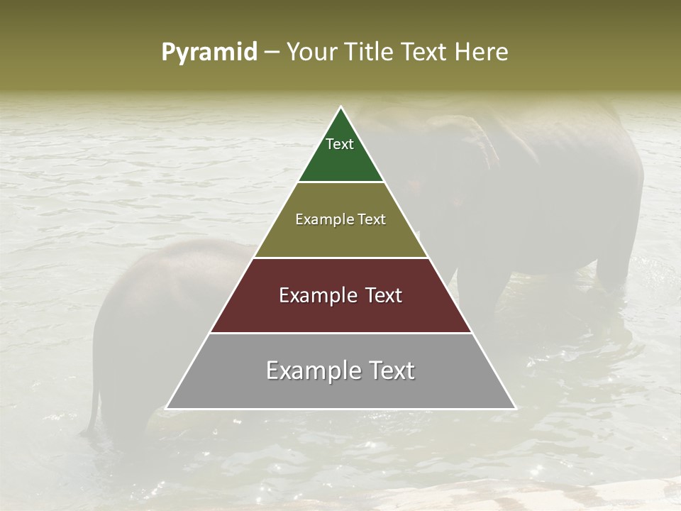 Animal Giant Impressive PowerPoint Template