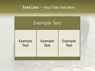 Animal Giant Impressive PowerPoint Template