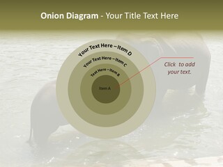 Animal Giant Impressive PowerPoint Template