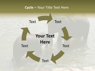 Animal Giant Impressive PowerPoint Template