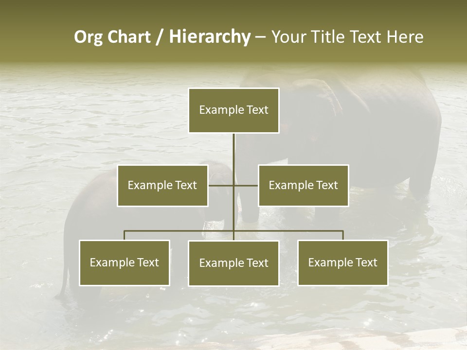Animal Giant Impressive PowerPoint Template