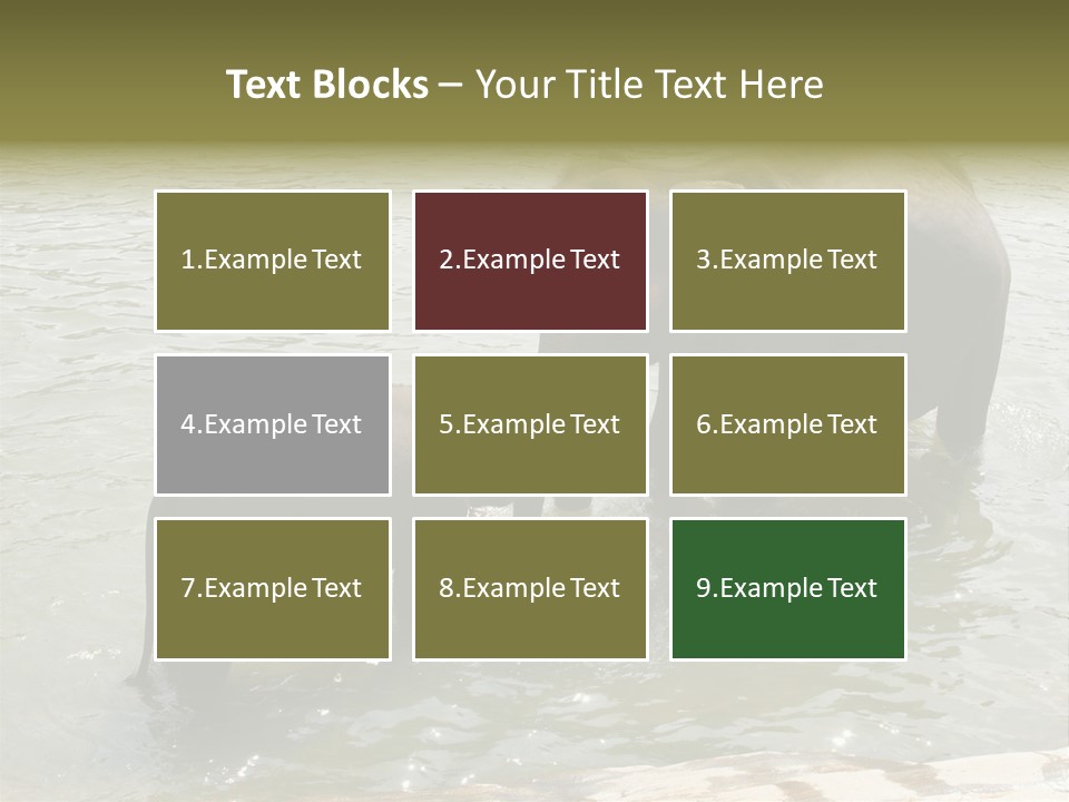 Animal Giant Impressive PowerPoint Template