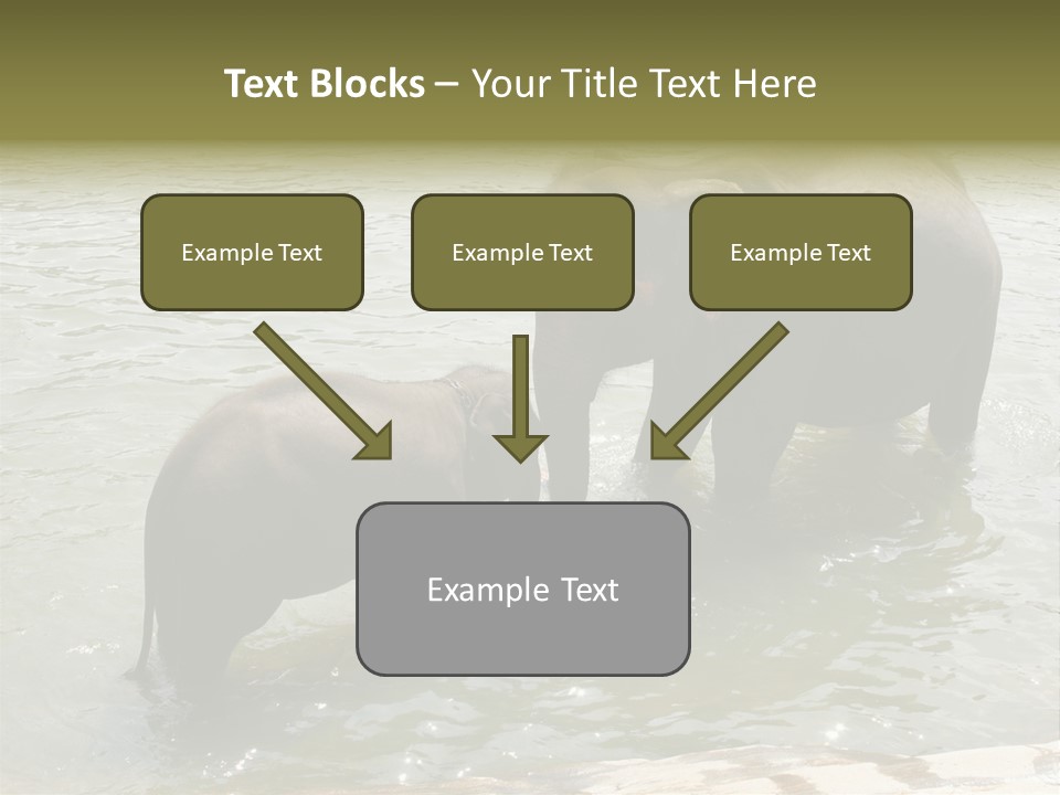 Animal Giant Impressive PowerPoint Template