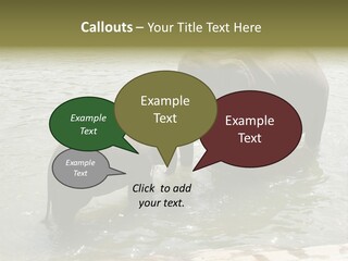 Animal Giant Impressive PowerPoint Template