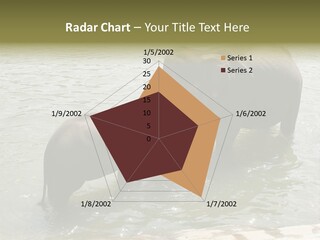 Animal Giant Impressive PowerPoint Template