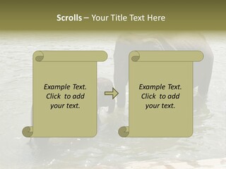 Animal Giant Impressive PowerPoint Template