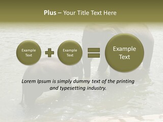 Animal Giant Impressive PowerPoint Template