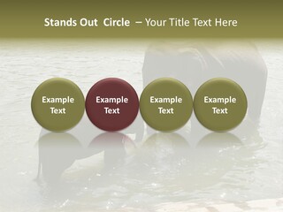 Animal Giant Impressive PowerPoint Template