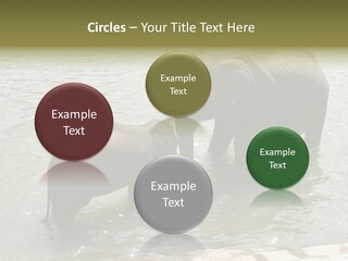 Animal Giant Impressive PowerPoint Template