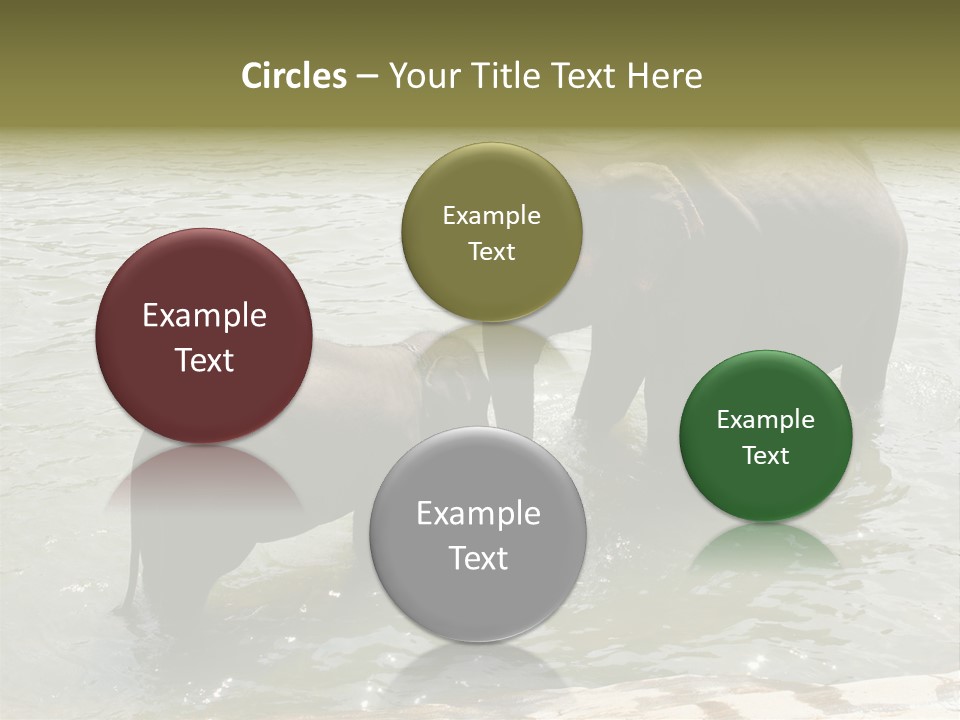 Animal Giant Impressive PowerPoint Template