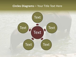 Animal Giant Impressive PowerPoint Template