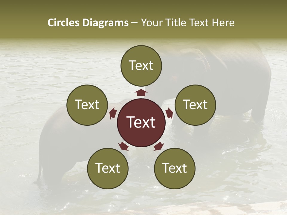 Animal Giant Impressive PowerPoint Template