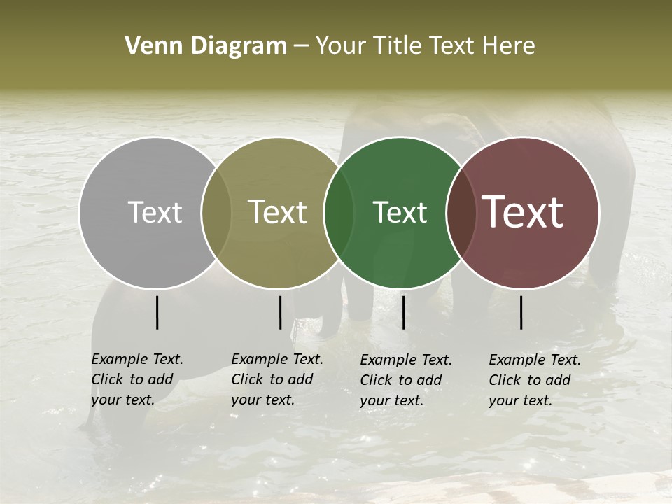 Animal Giant Impressive PowerPoint Template