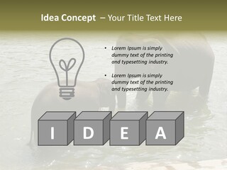 Animal Giant Impressive PowerPoint Template