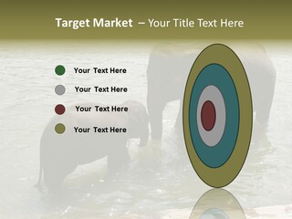 Animal Giant Impressive PowerPoint Template