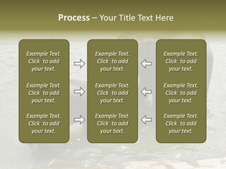 Animal Giant Impressive PowerPoint Template