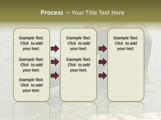 Animal Giant Impressive PowerPoint Template