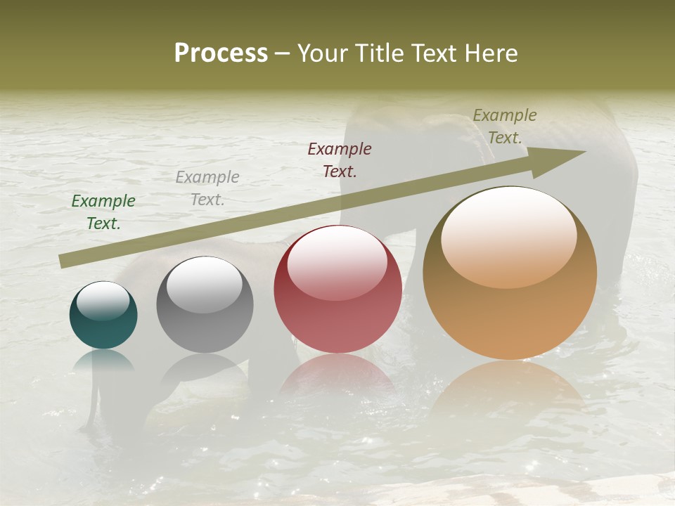 Animal Giant Impressive PowerPoint Template