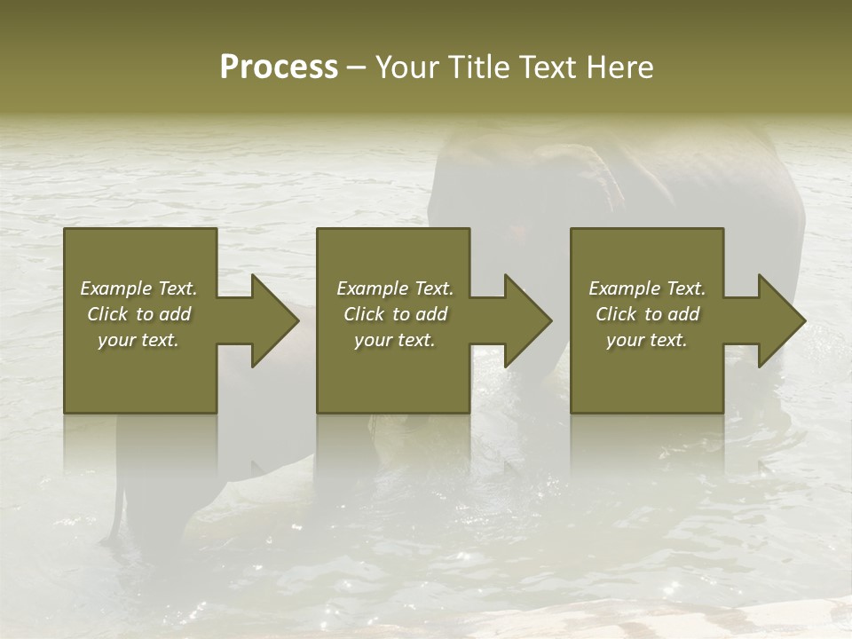 Animal Giant Impressive PowerPoint Template