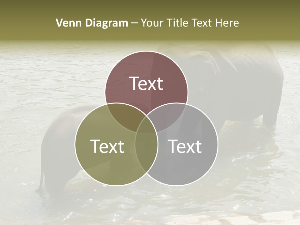 Animal Giant Impressive PowerPoint Template