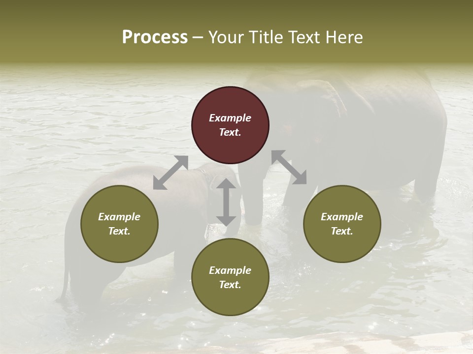 Animal Giant Impressive PowerPoint Template