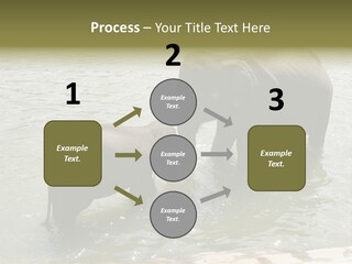 Animal Giant Impressive PowerPoint Template