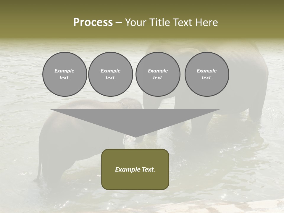 Animal Giant Impressive PowerPoint Template