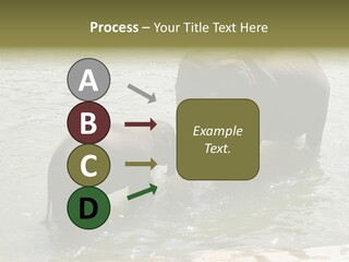 Animal Giant Impressive PowerPoint Template