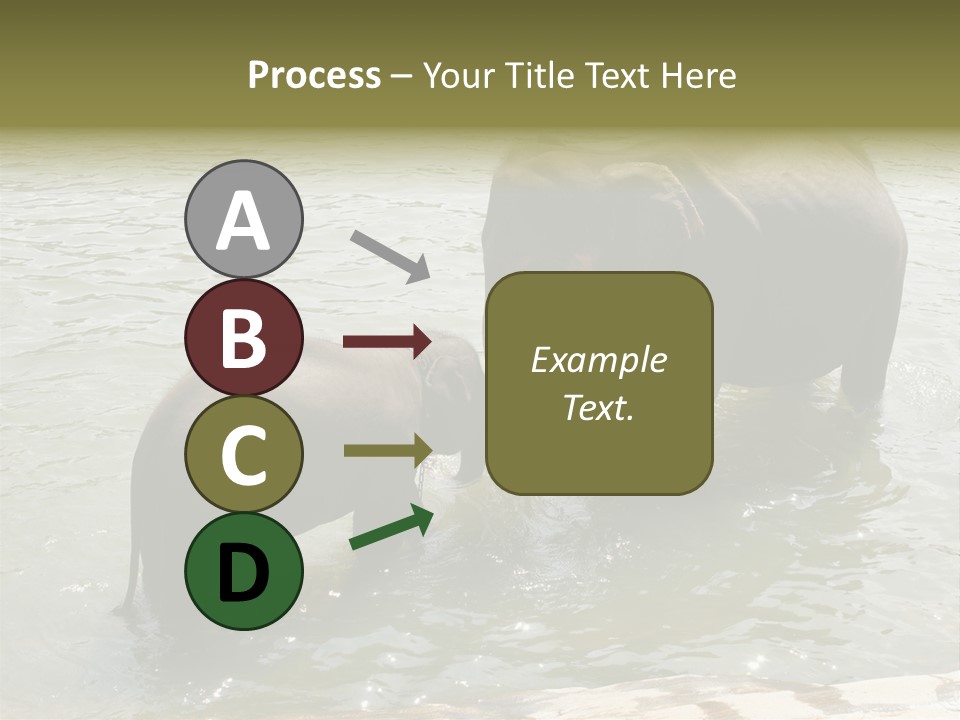 Animal Giant Impressive PowerPoint Template